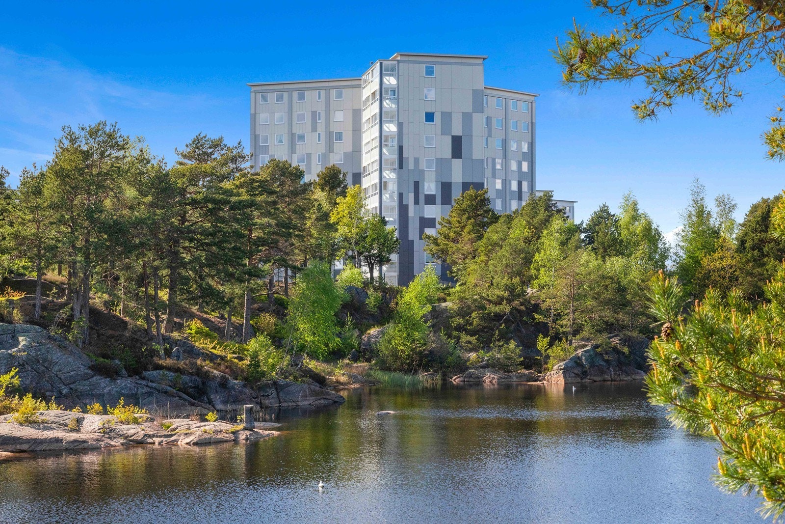 Husk å melde deg på visning! Galleribilde