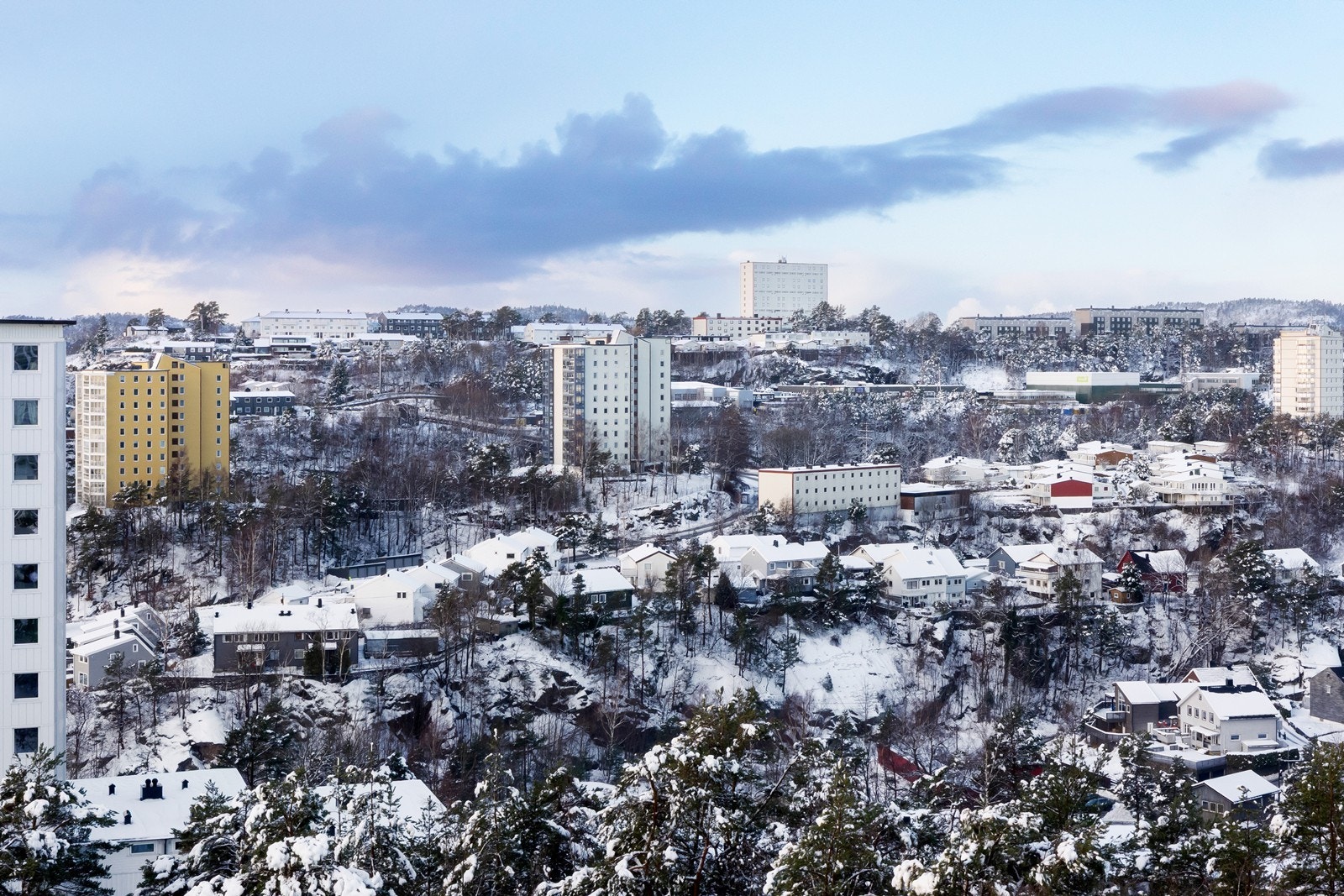 Utsikt. Galleribilde