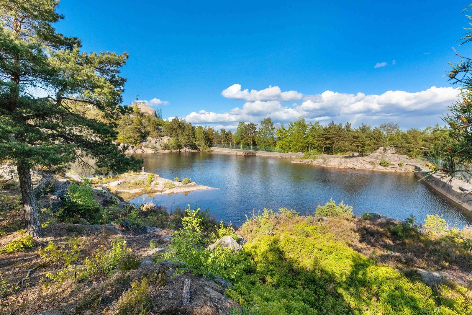 Nærområde. Galleribilde