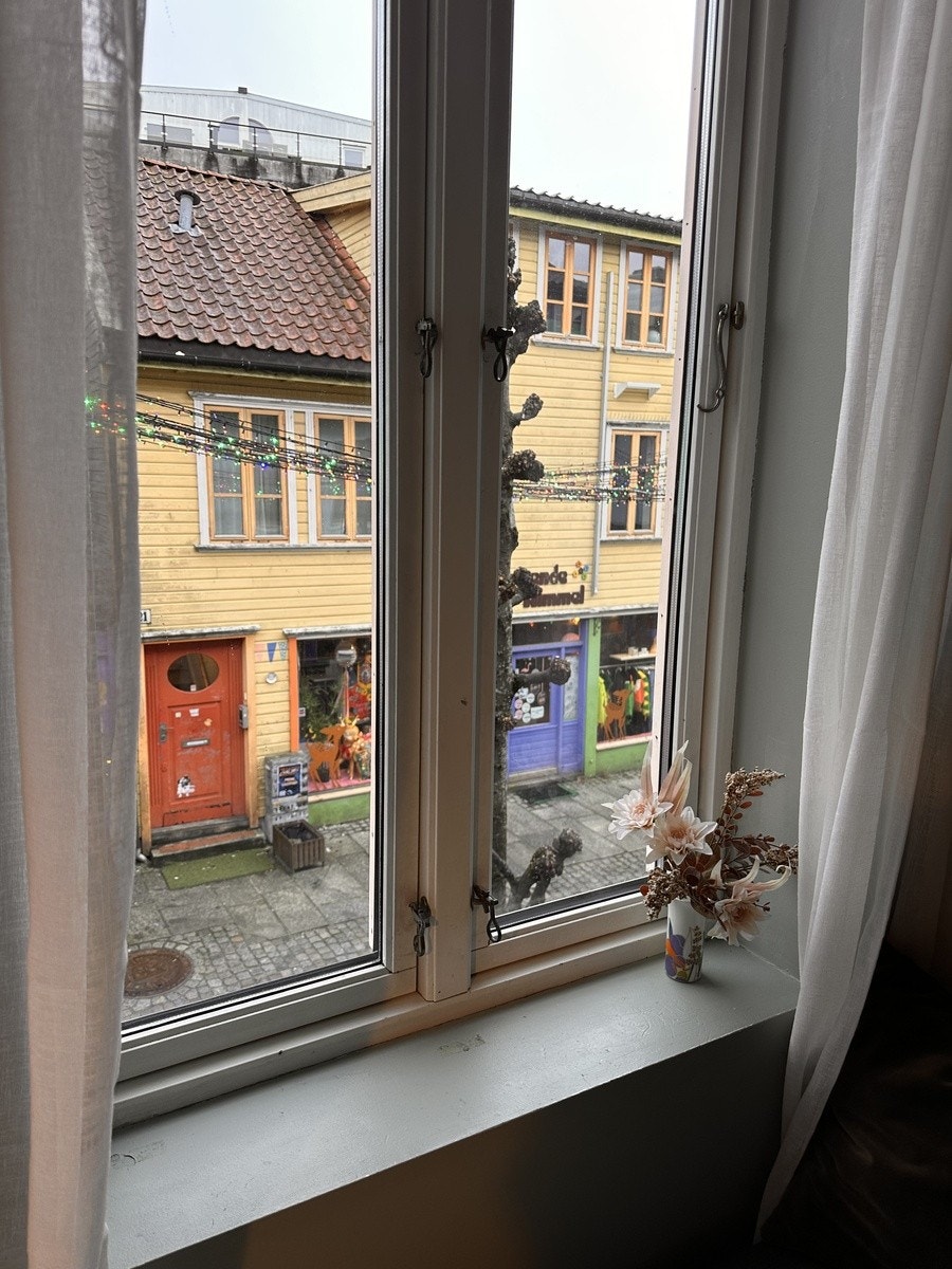 utsikt fra stue Galleribilde