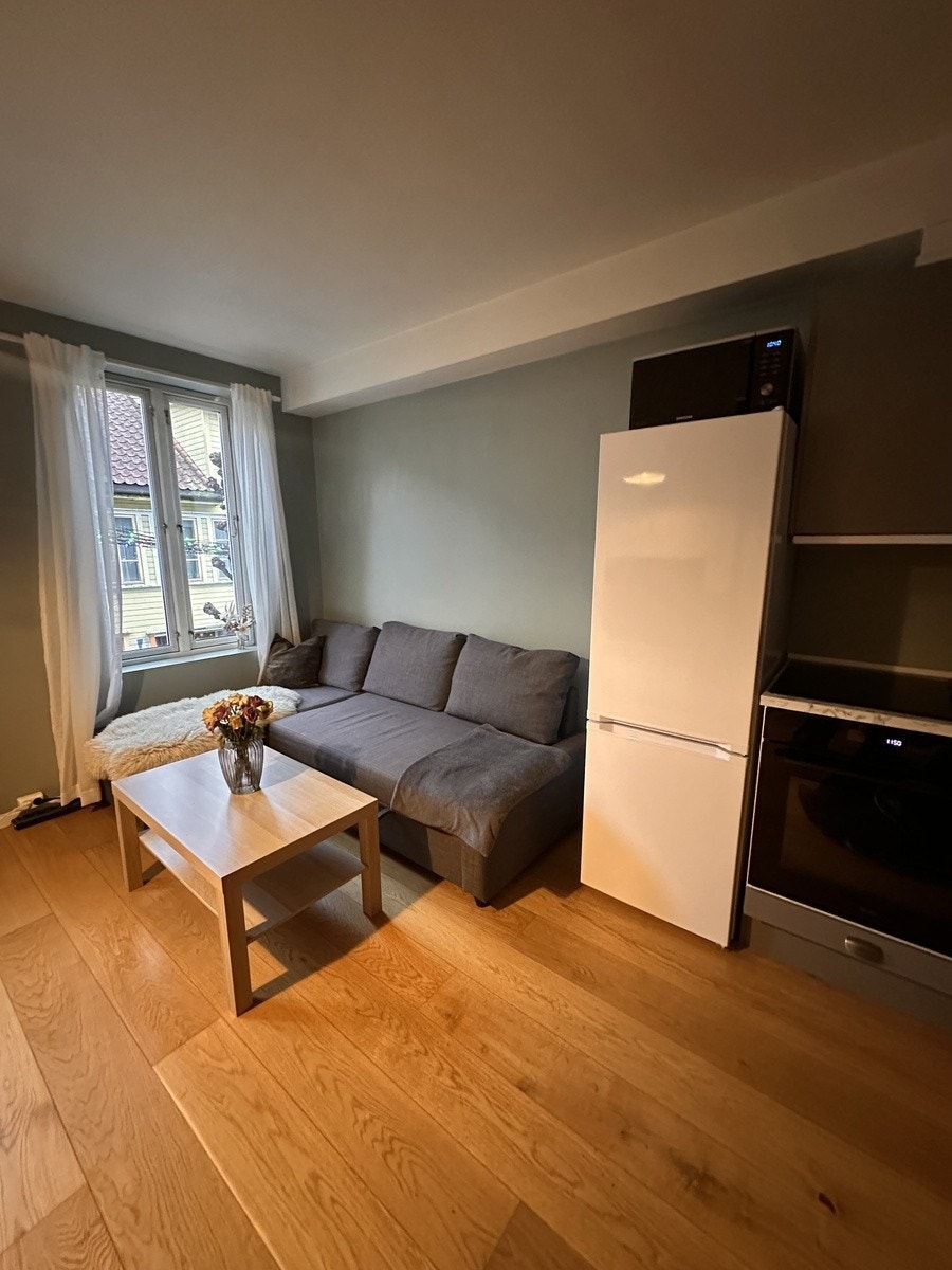 Sovesofa og sofabord Galleribilde