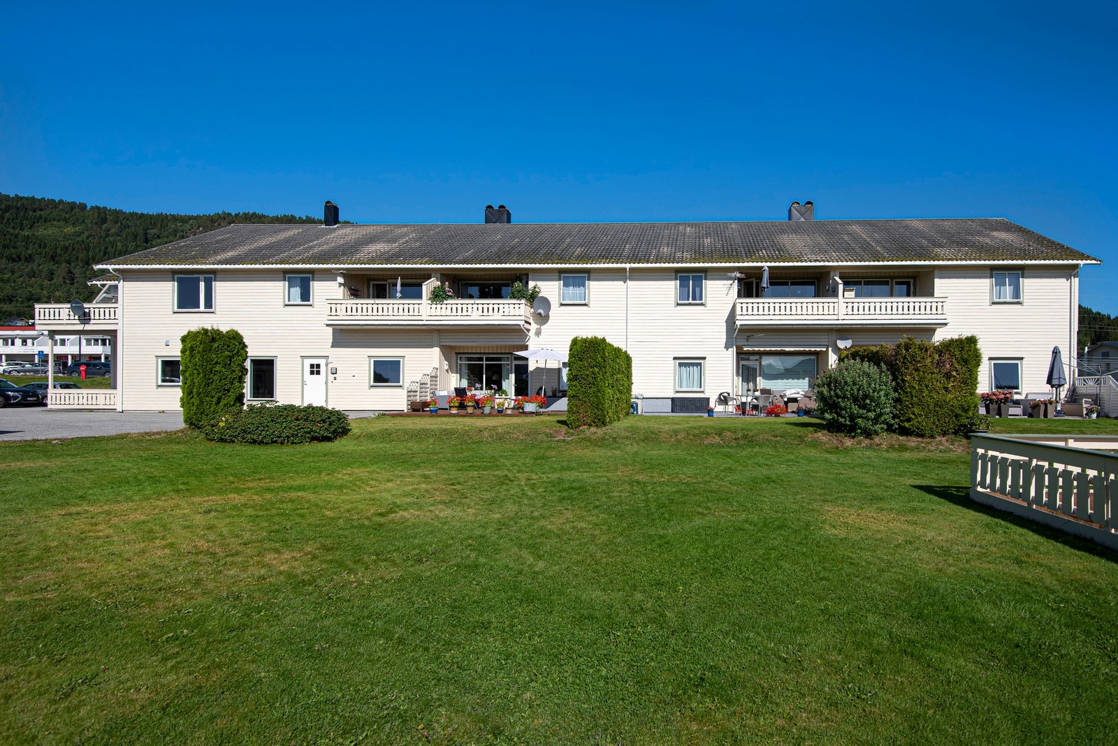 Skogly Sameie. Galleribilde