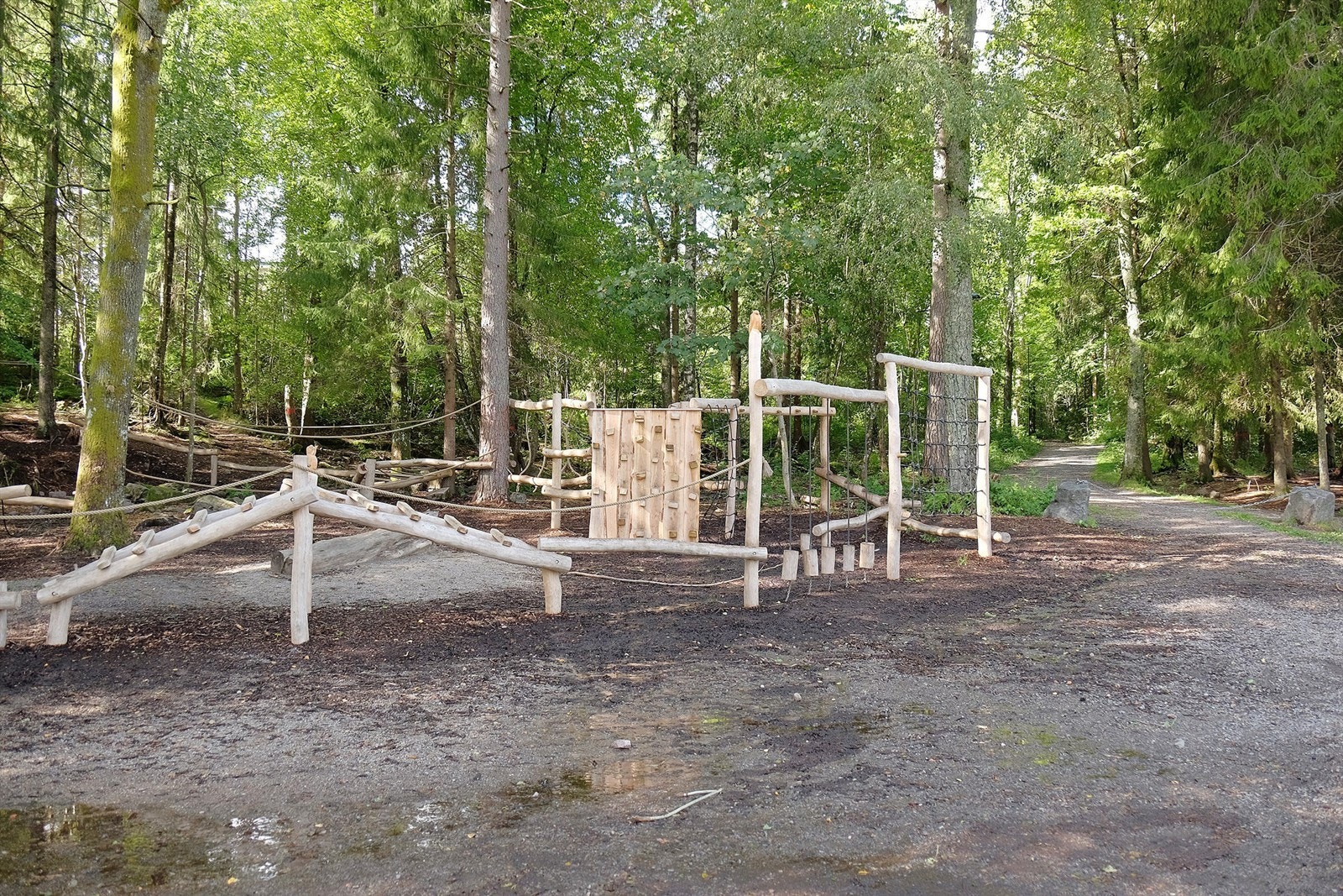 Vakre Teieskogen Galleribilde