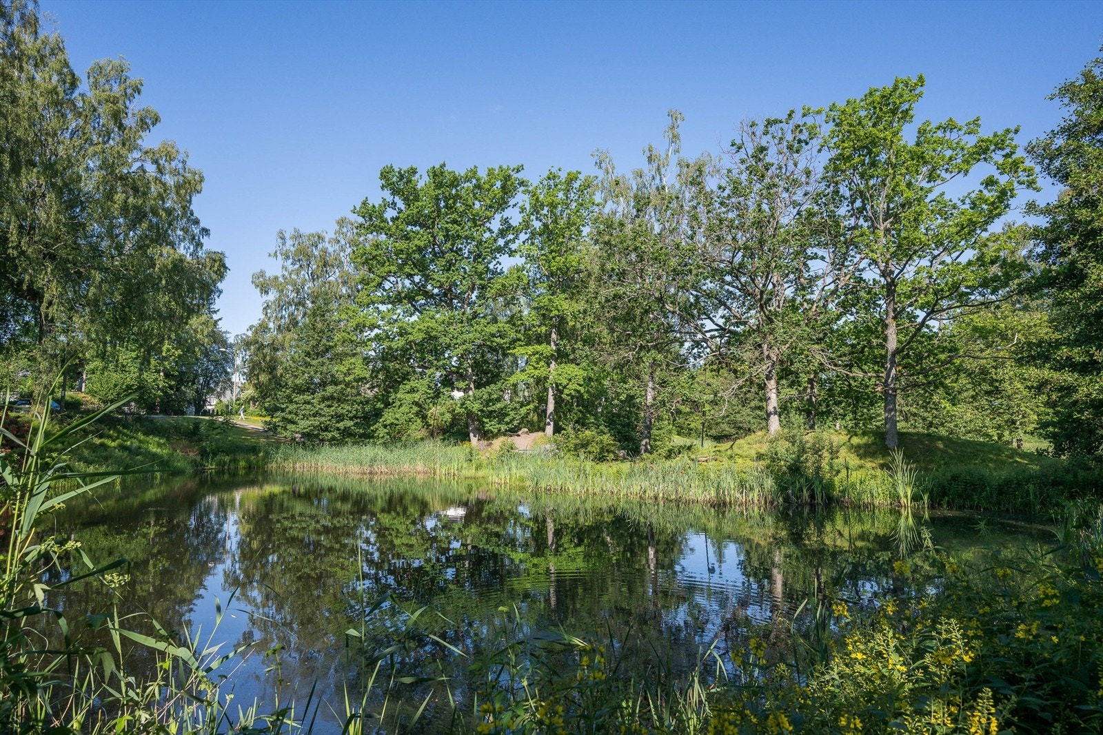 Rosanesparken, en park på Rosanes like ved Teie sentrum Galleribilde
