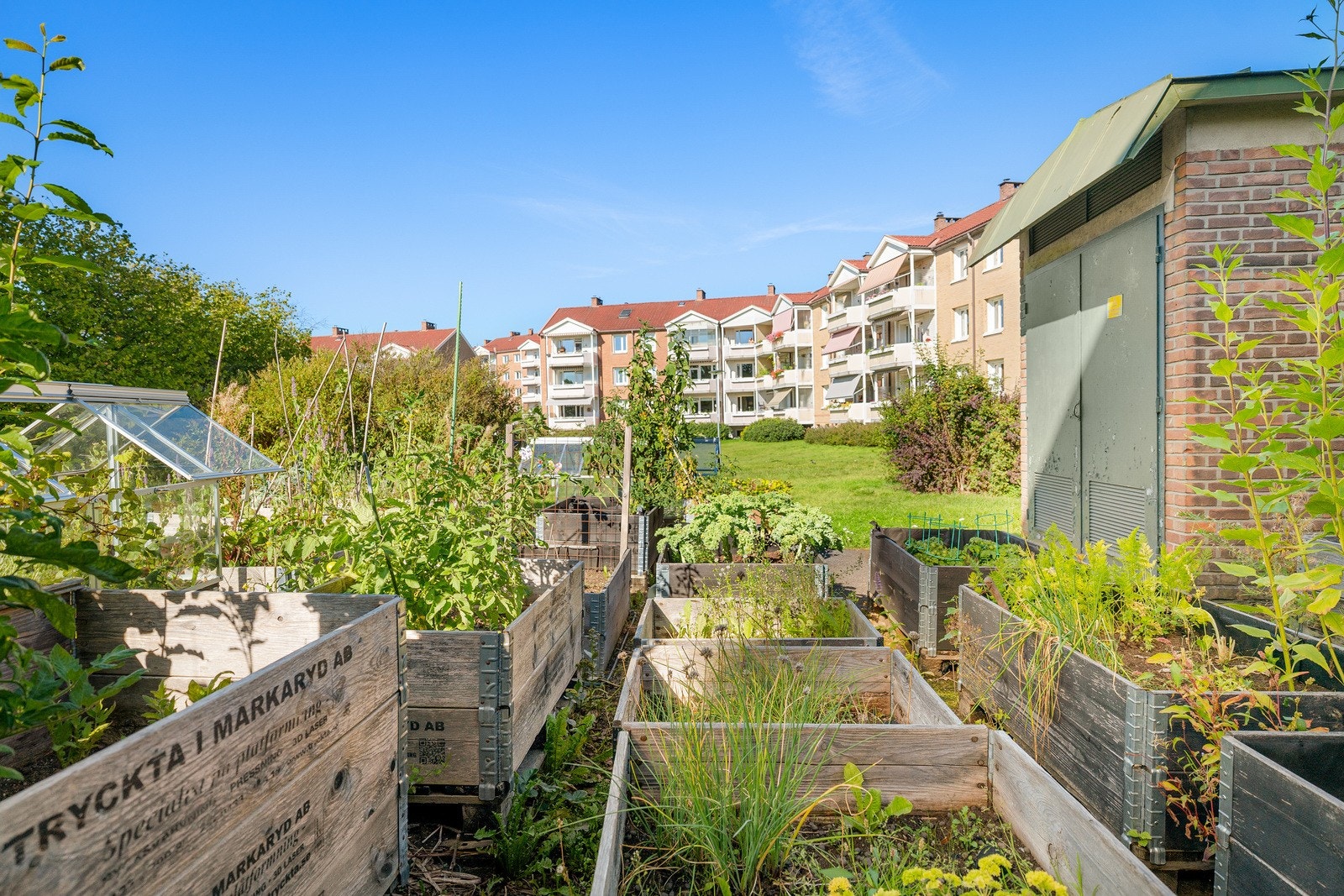 Borettslaget har en parsellhage hvor du kan plante egne grønnsaker Galleribilde