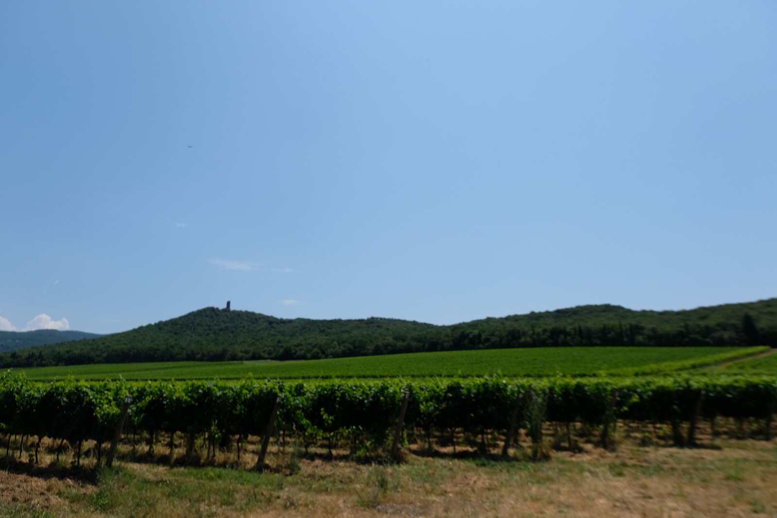 Vindistriktet like sør Galleribilde