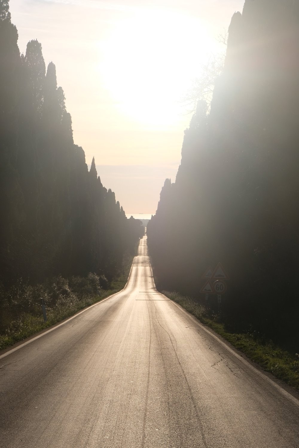 Bolgheri vindistrikt kun 20 minutter fra Quercianella om en kjører snareste vei. Galleribilde