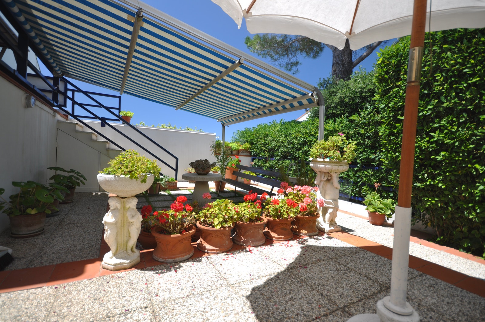 Hage med potensiale Galleribilde