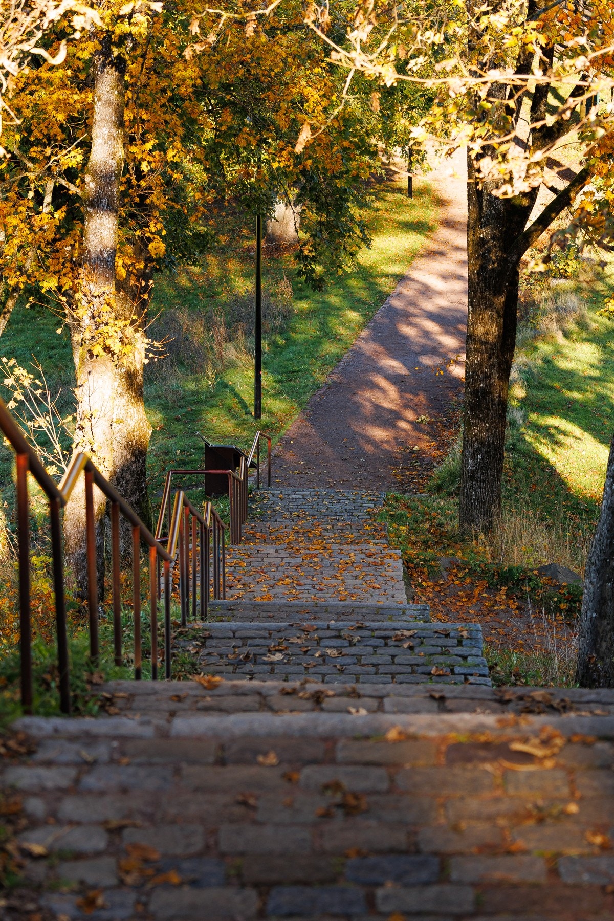 Turen opp til Slottsfjellet må oppleves og brukes så ofte en har tid Galleribilde