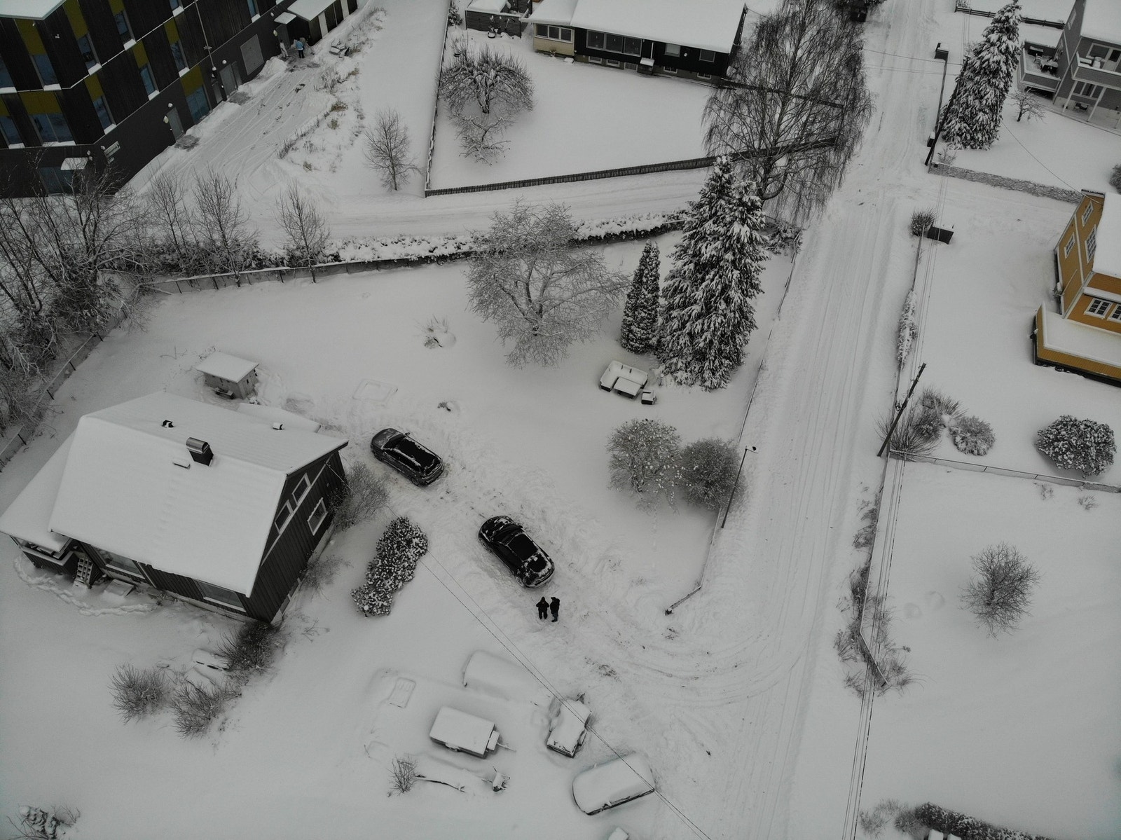 Oversiktsbilde over tomten. Galleribilde