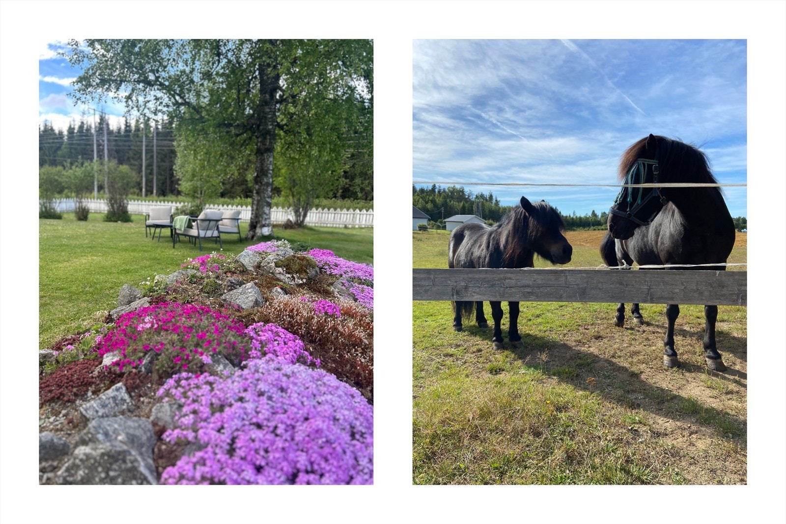 Sætrevegen 46 er en nydelig småbrukseiendom godt egnet for hestehold. Selgers private bilder. Galleribilde