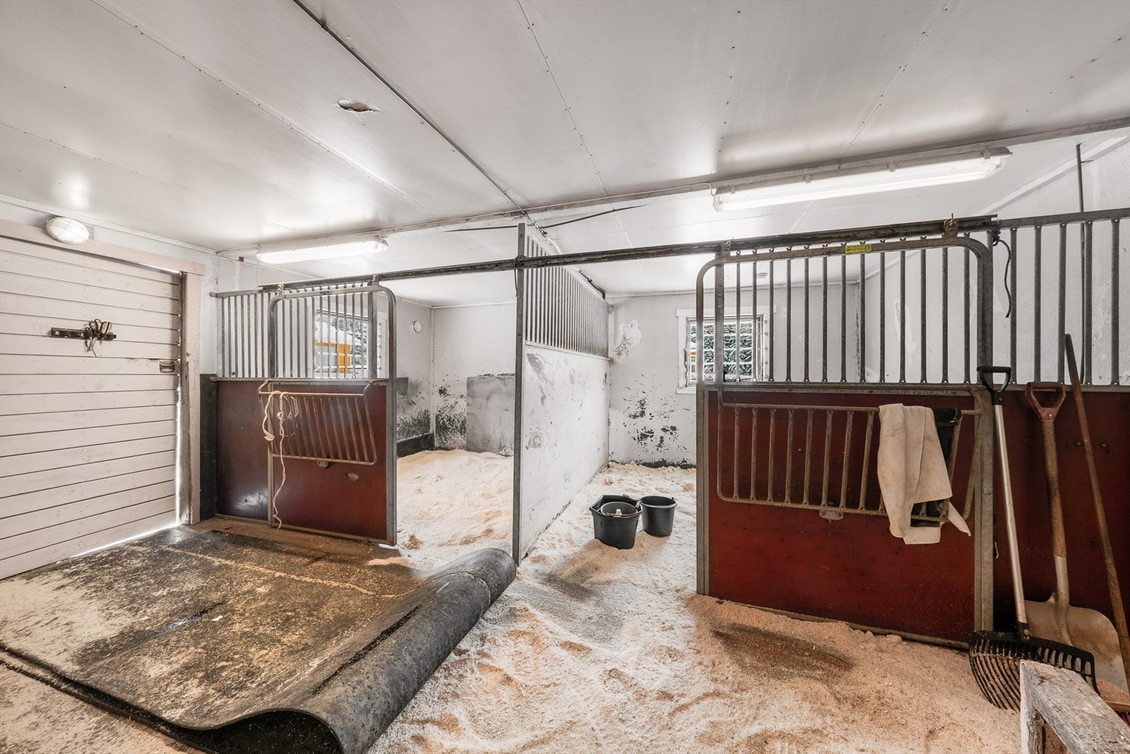 Stall med fire båser. Galleribilde