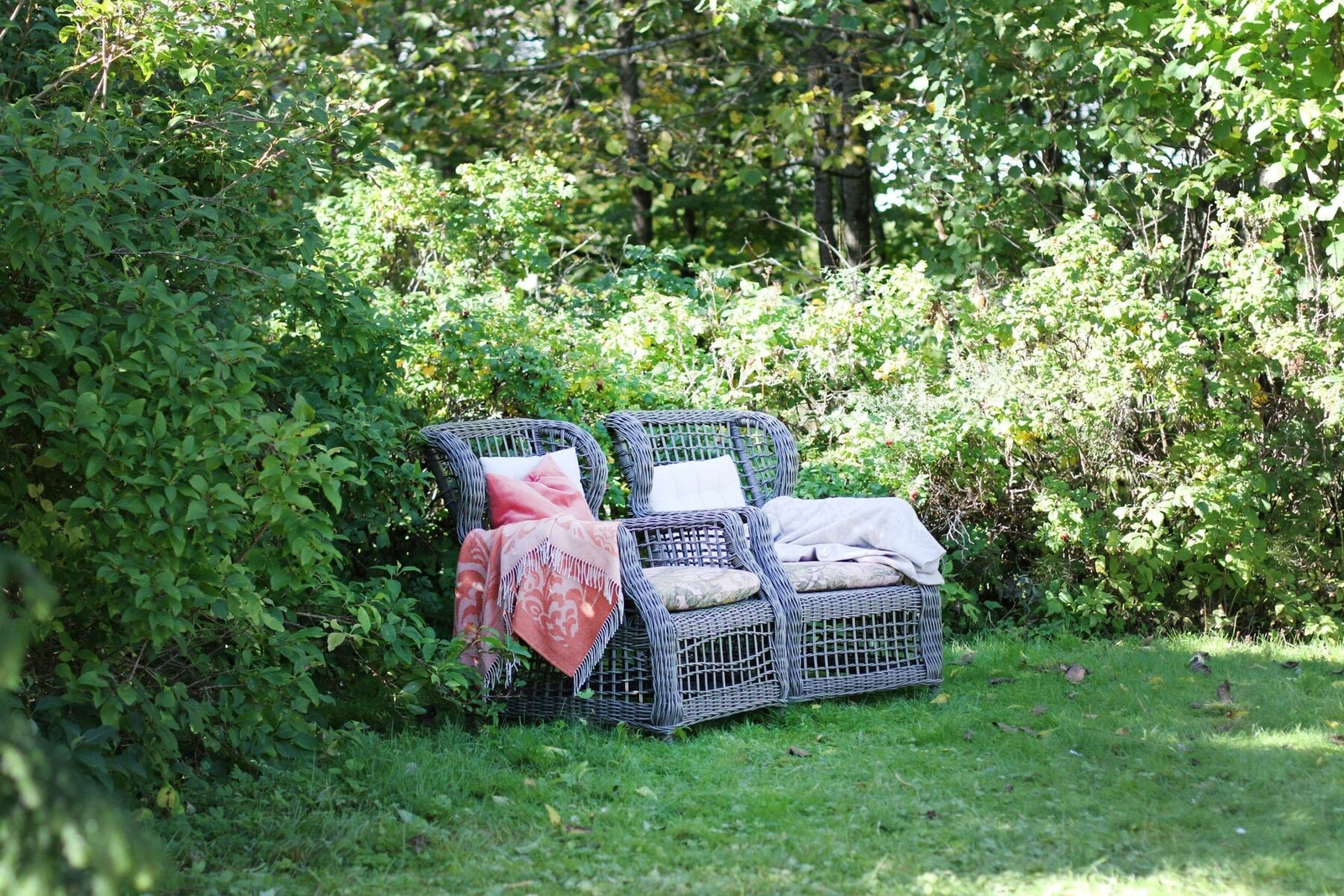 Sommerstemning. ( selgers egne bilder). Galleribilde