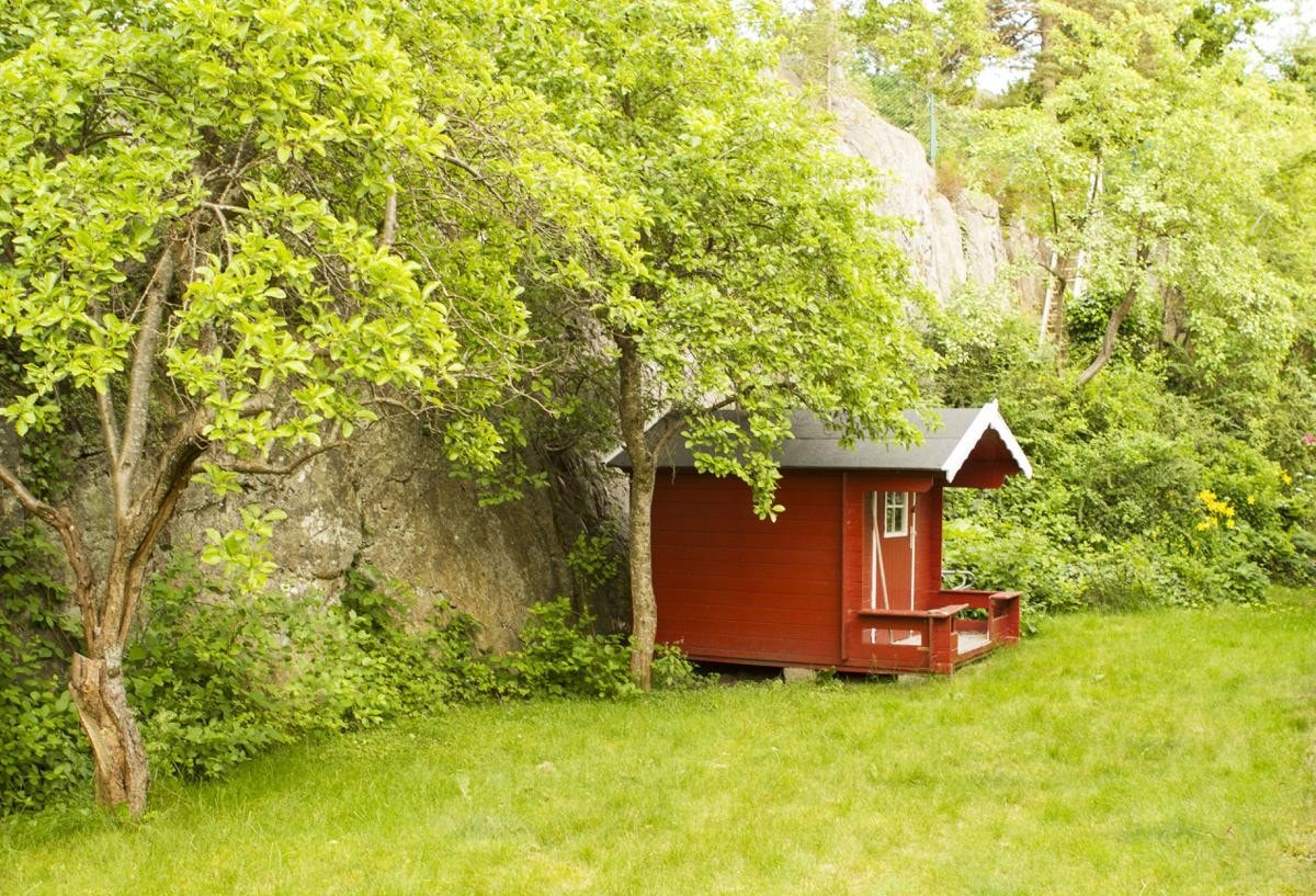 hagen på baksiden av huset Galleribilde