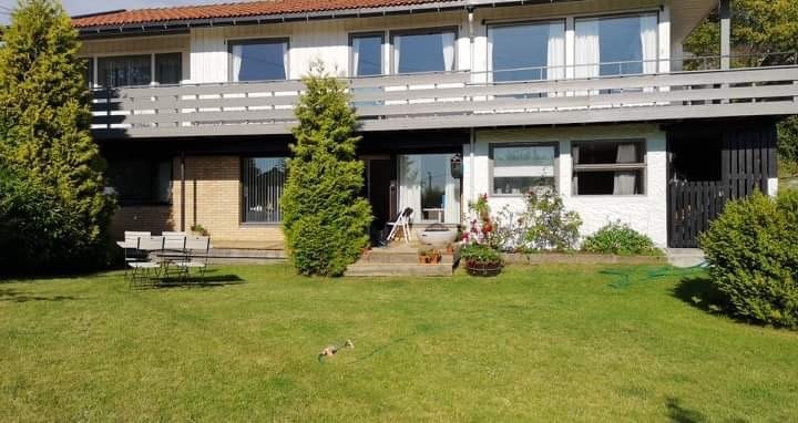 Stor fin plen foran huset Galleribilde