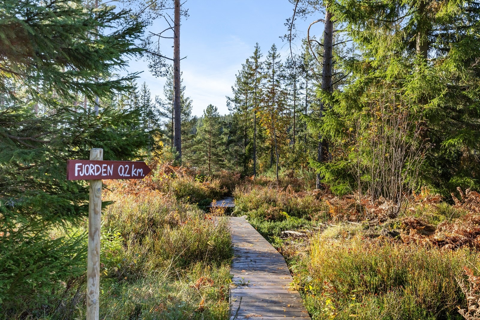 Her kan du nyte den fine naturen som er rett utenfor hytta - kort vei ned til vannet med bademuligheter og båtplass Galleribilde