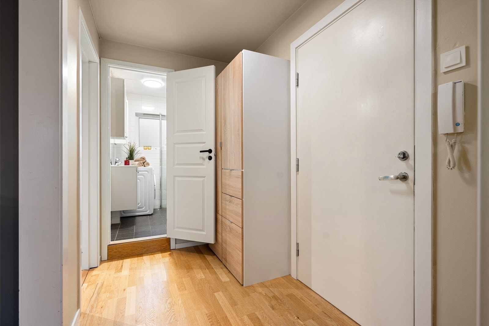 Entrédøren er i brannklasse B-30 og har en lydmotstand på 35 desibel. Galleribilde