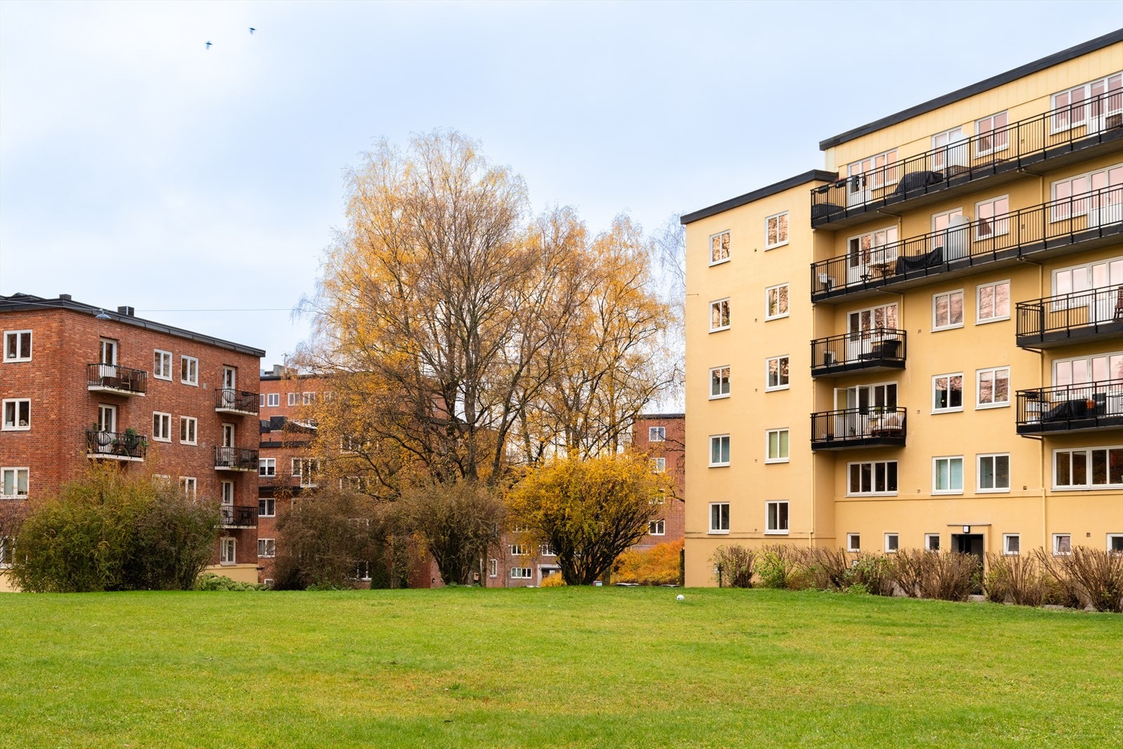 Stor fellesområder gir god avstand til de tilliggende bygningene, og man får en privat atmosfære inne i leiligheten Galleribilde