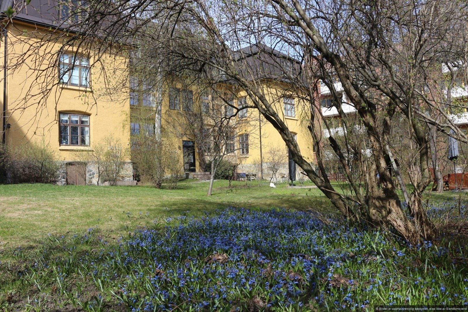 Fasade/felles bakhage. Galleribilde