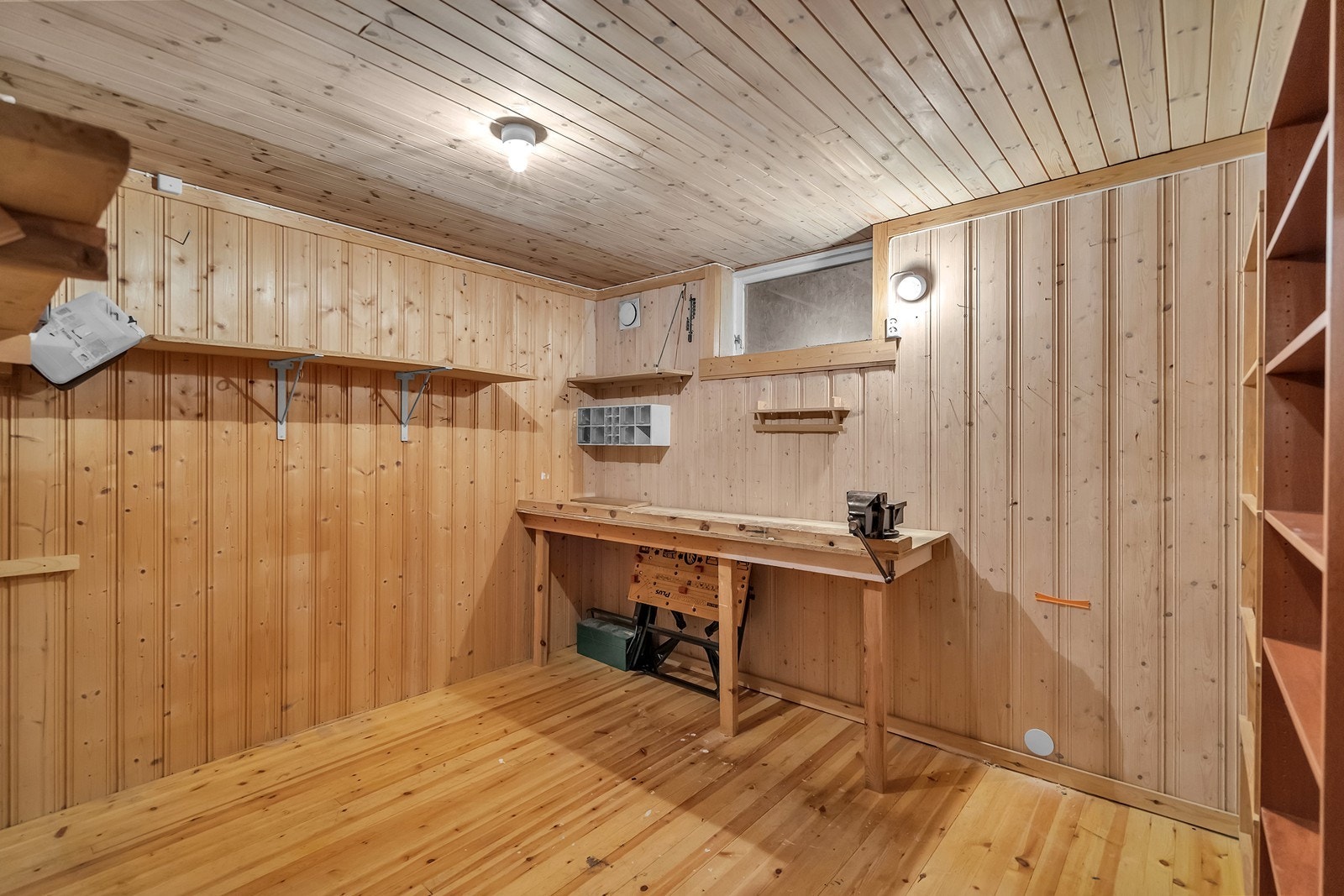 Kjeller med lagring. Galleribilde