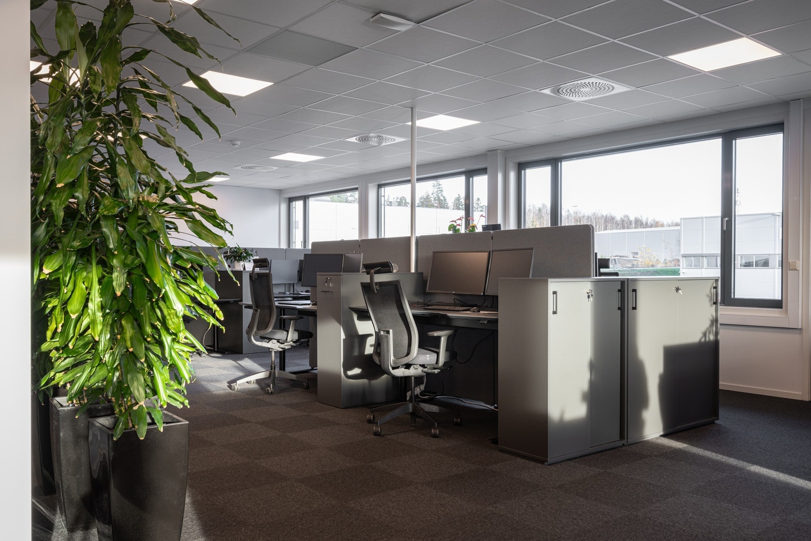 kontorlandskap Galleribilde