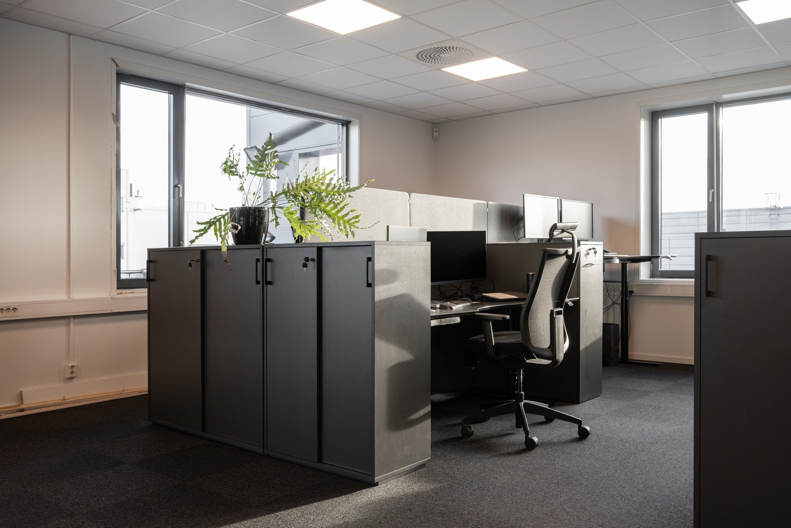 kontorlandskap Galleribilde