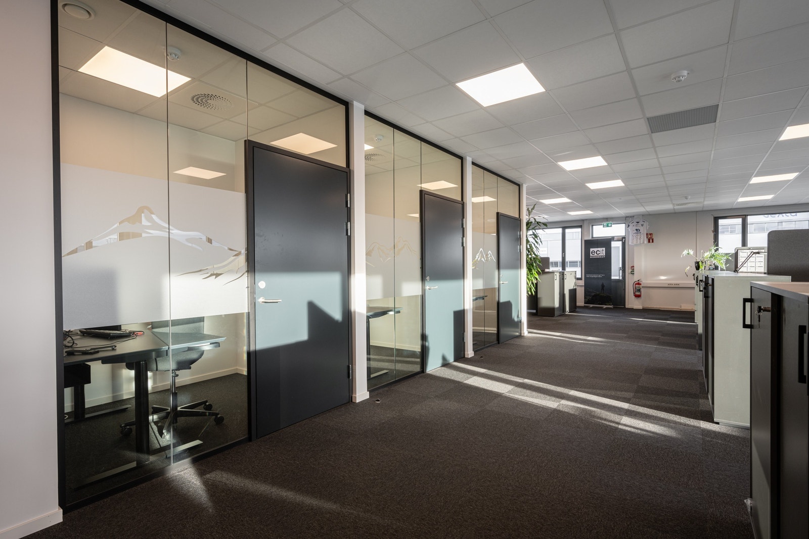 Teams / fleks rom Galleribilde