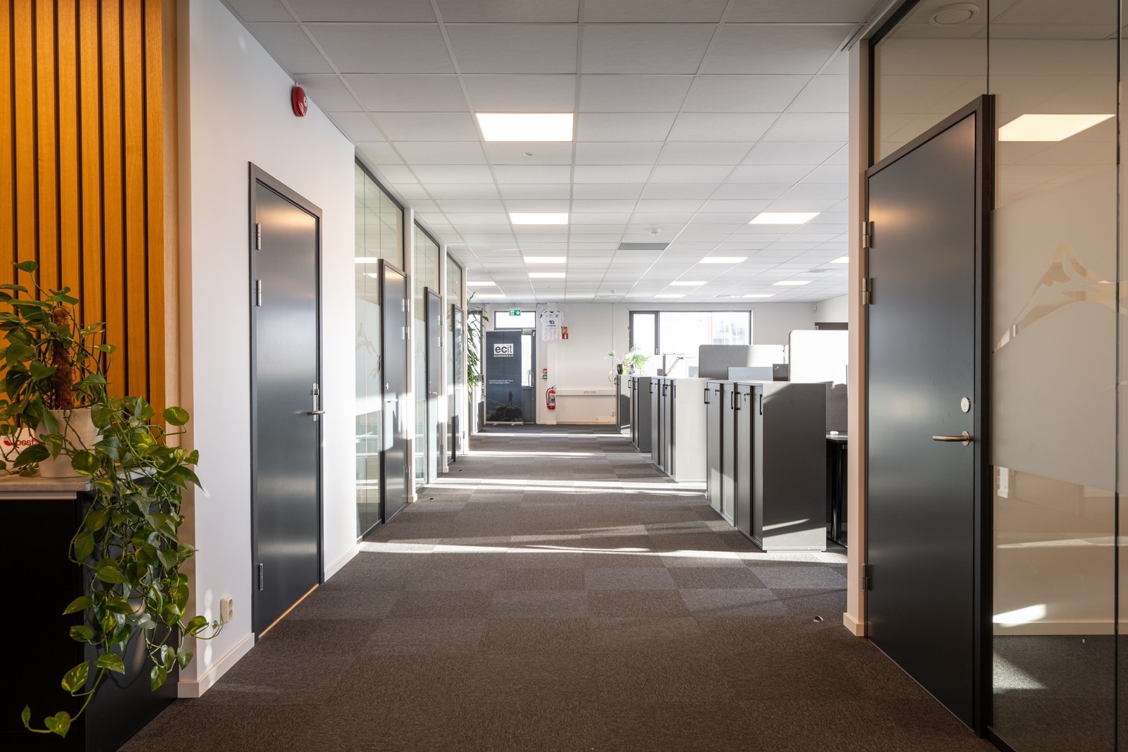 Lyst og fint åpent kontorlandskap Galleribilde