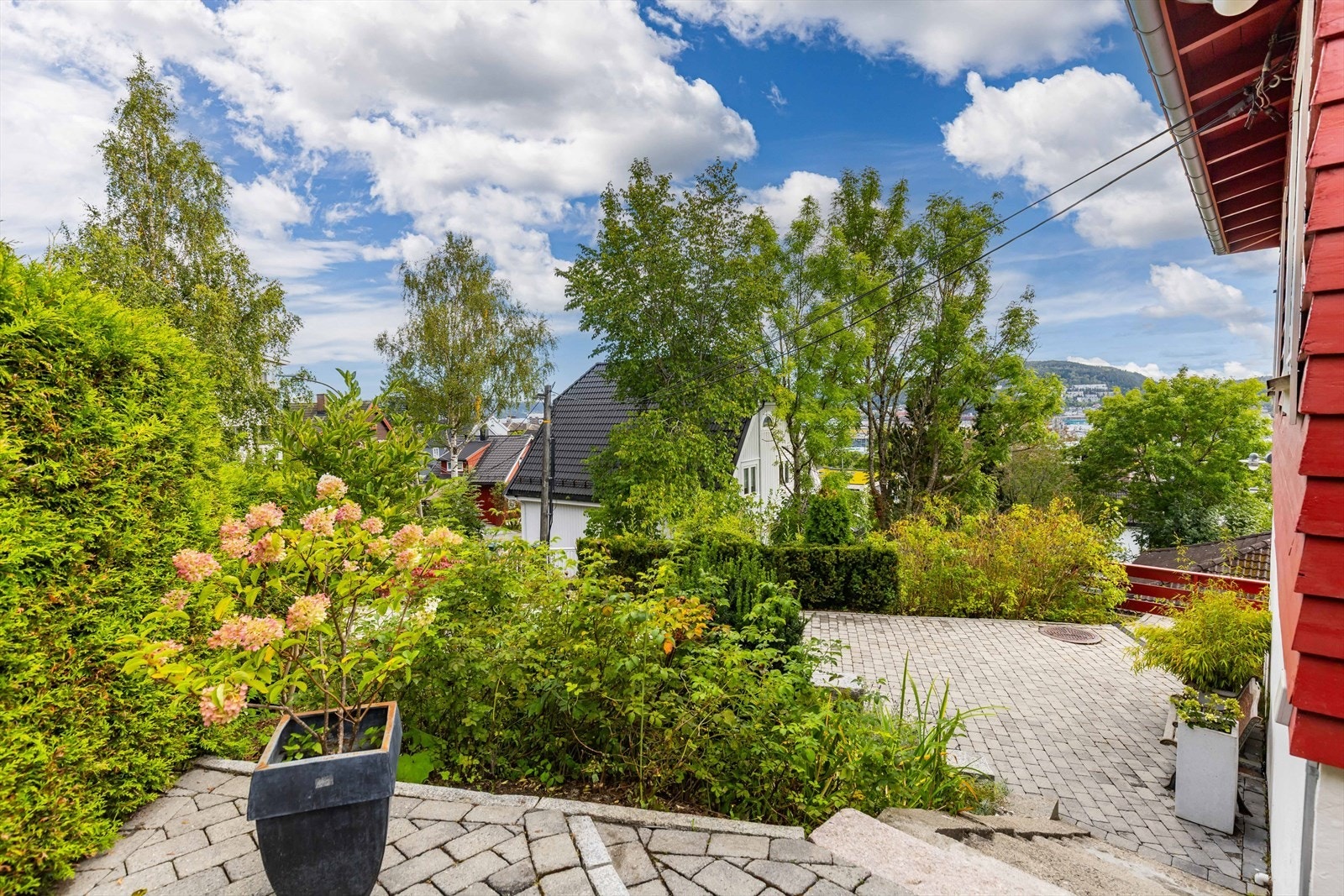 Spredt beplantet Galleribilde