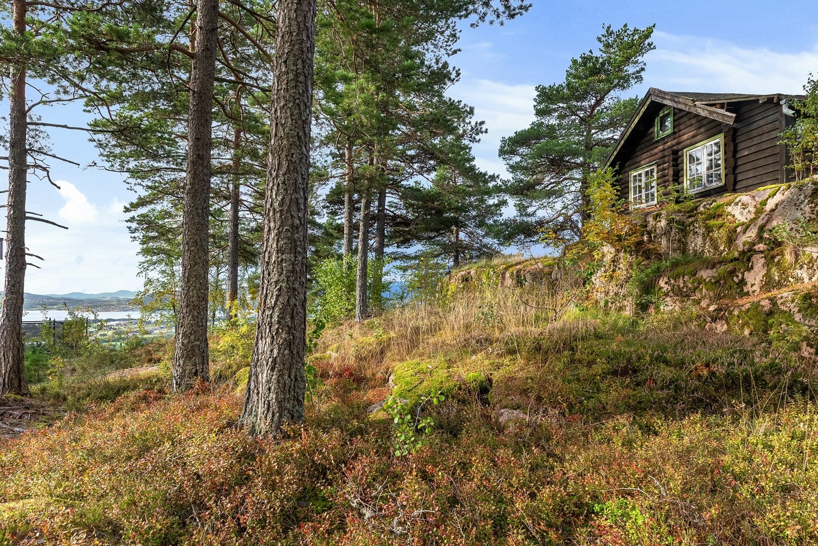 Eldre hytta som er i en dårlig forfatning, men har en flott beliggenhet. Galleribilde