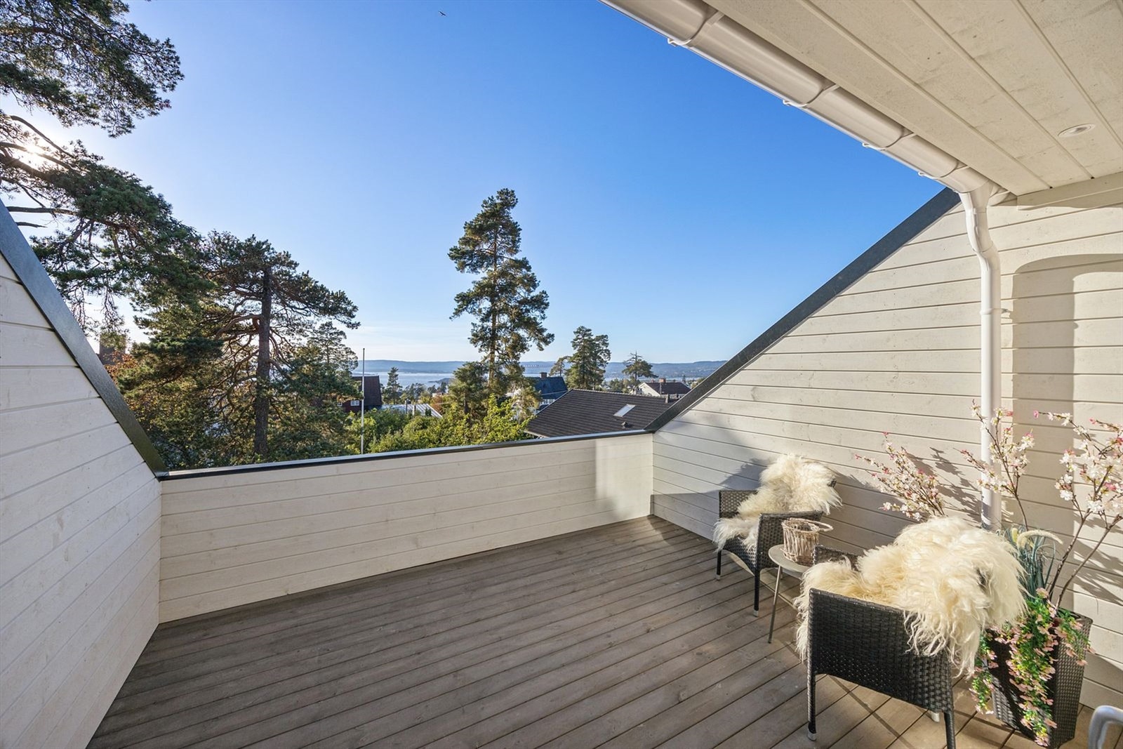 Flott utsikt. Galleribilde