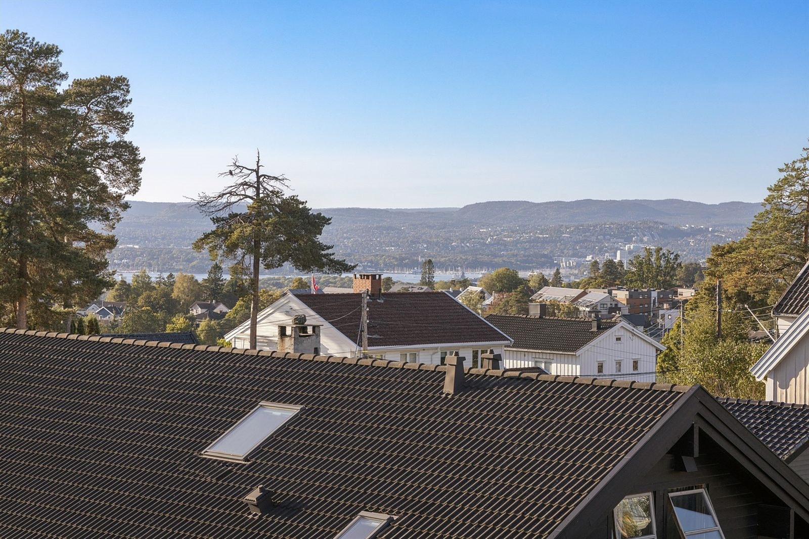 Utsikt. Galleribilde