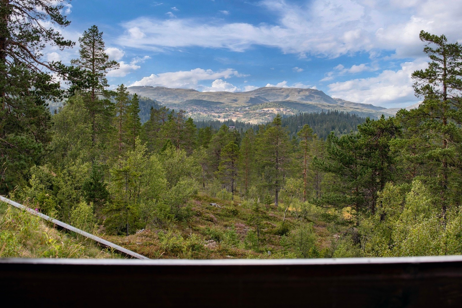 Utsikt over skog og fjell fra loftstue Galleribilde