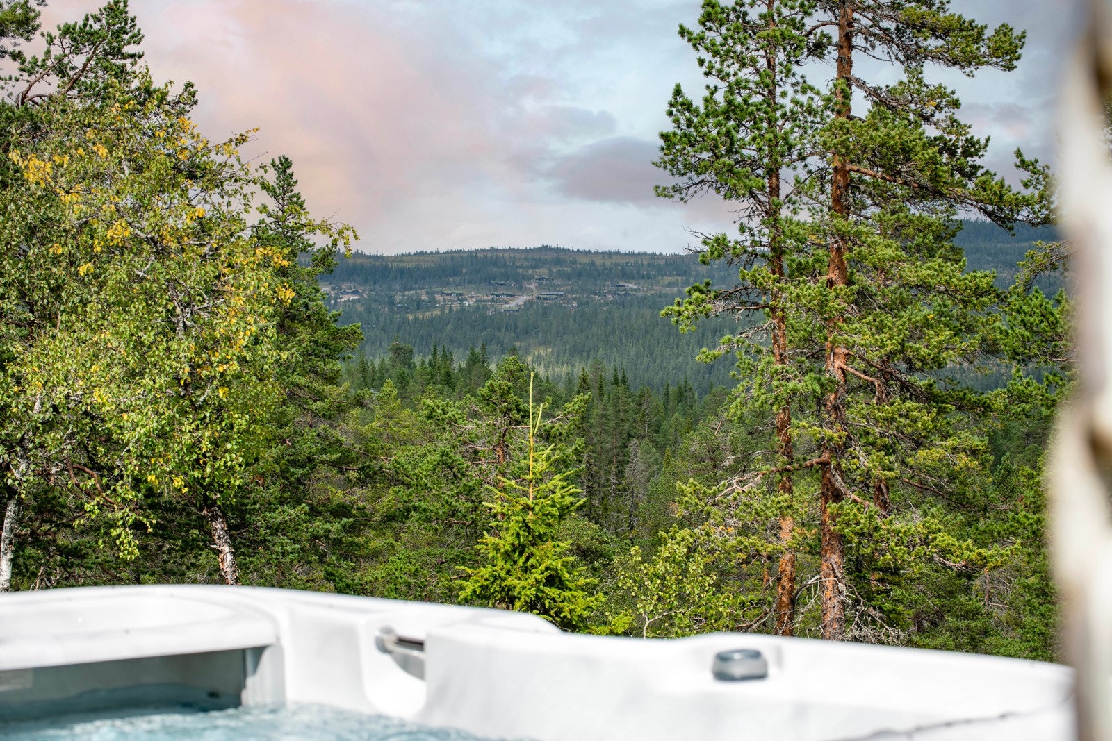 Utsikt over skogkledd landskap. Galleribilde