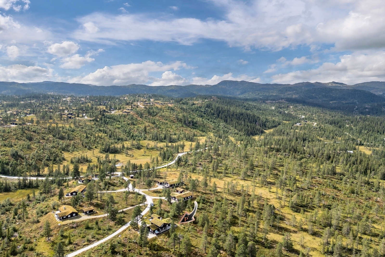 Turområde rett utenfor hytta. Galleribilde