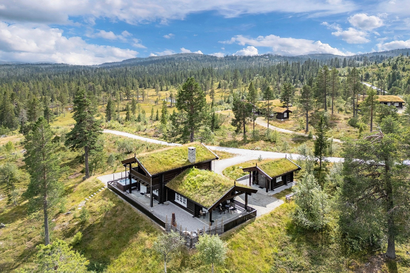 Koselig fjellhytte med torvtak, omringet av skog og fjell. Fantastisk utsikt, rolig område. Galleribilde