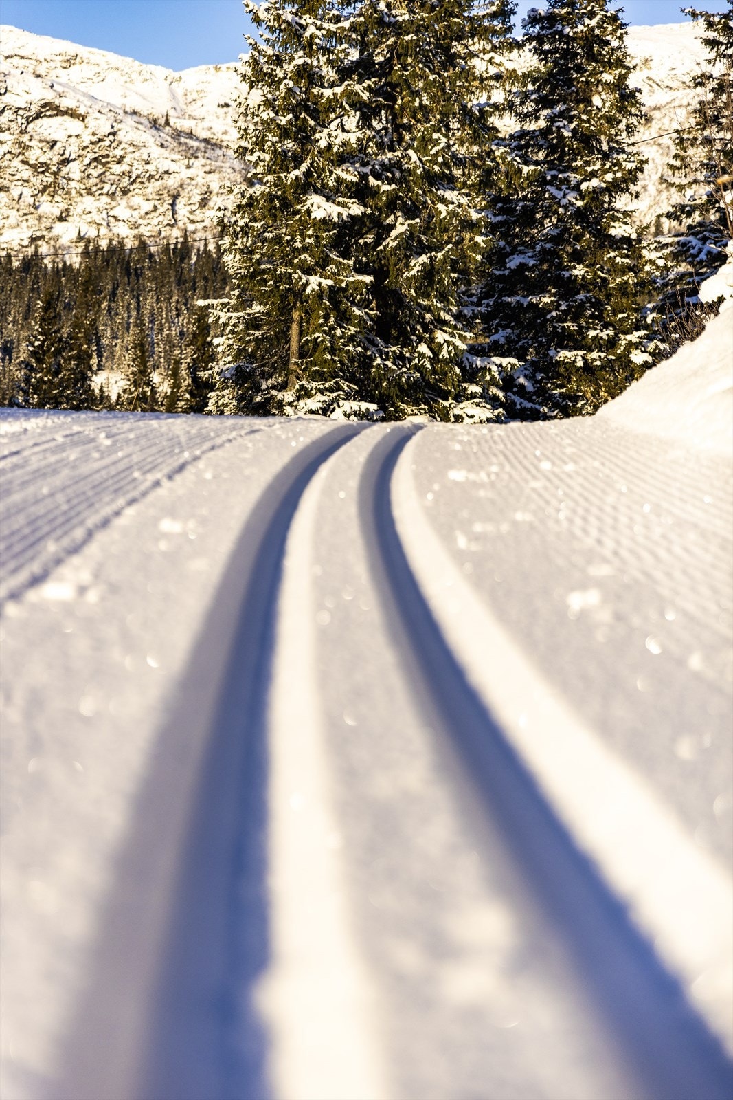 Direkte tilgang til preparerte skiløyper Galleribilde
