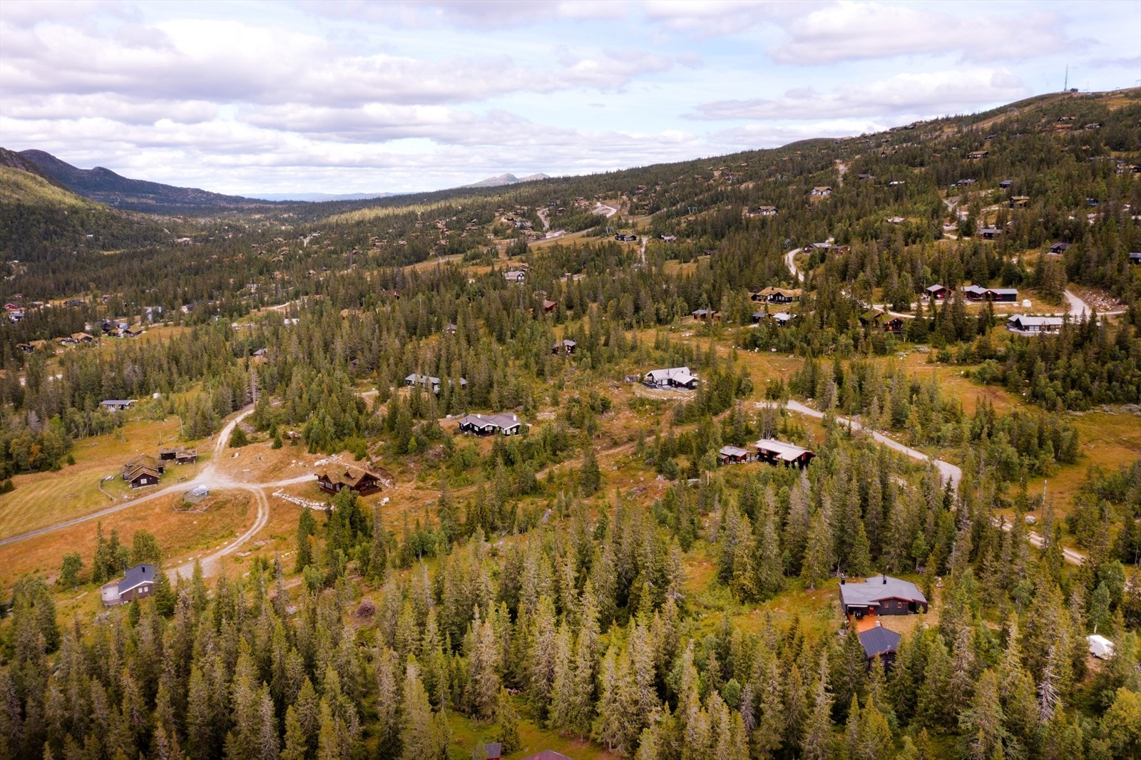 Skiløype og alpinbakke i umiddelbar nærhet. Galleribilde