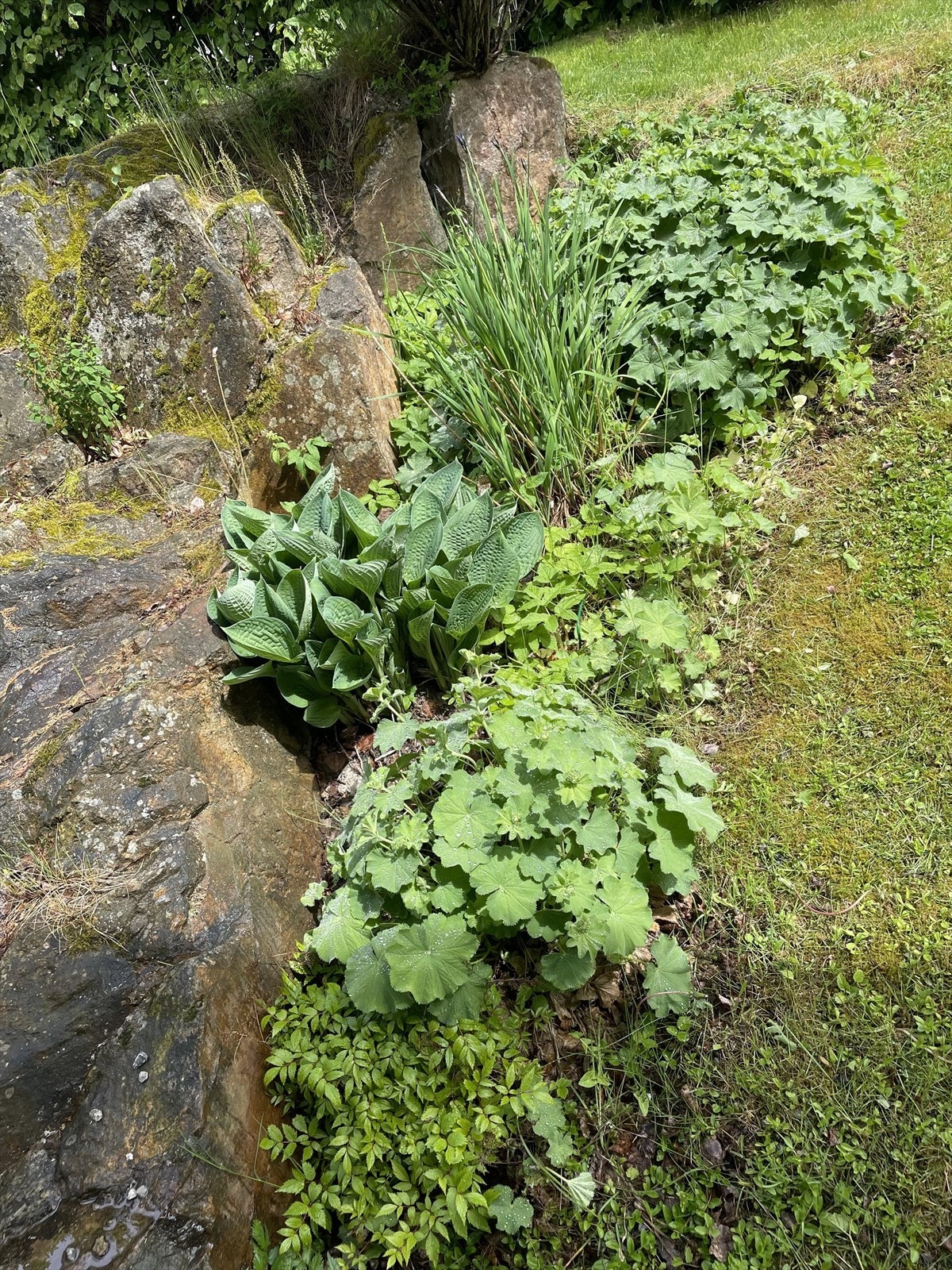 Selgers private bilder av eiendommen i blomstring Galleribilde