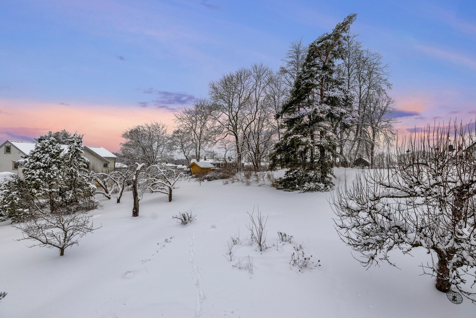 Utsikt fra balkongen Galleribilde