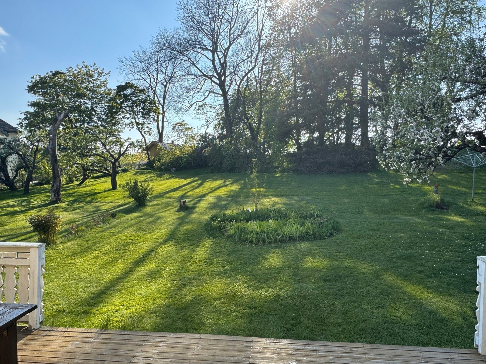 Hagen på sommerstid (Privat bilde fra selger) Galleribilde