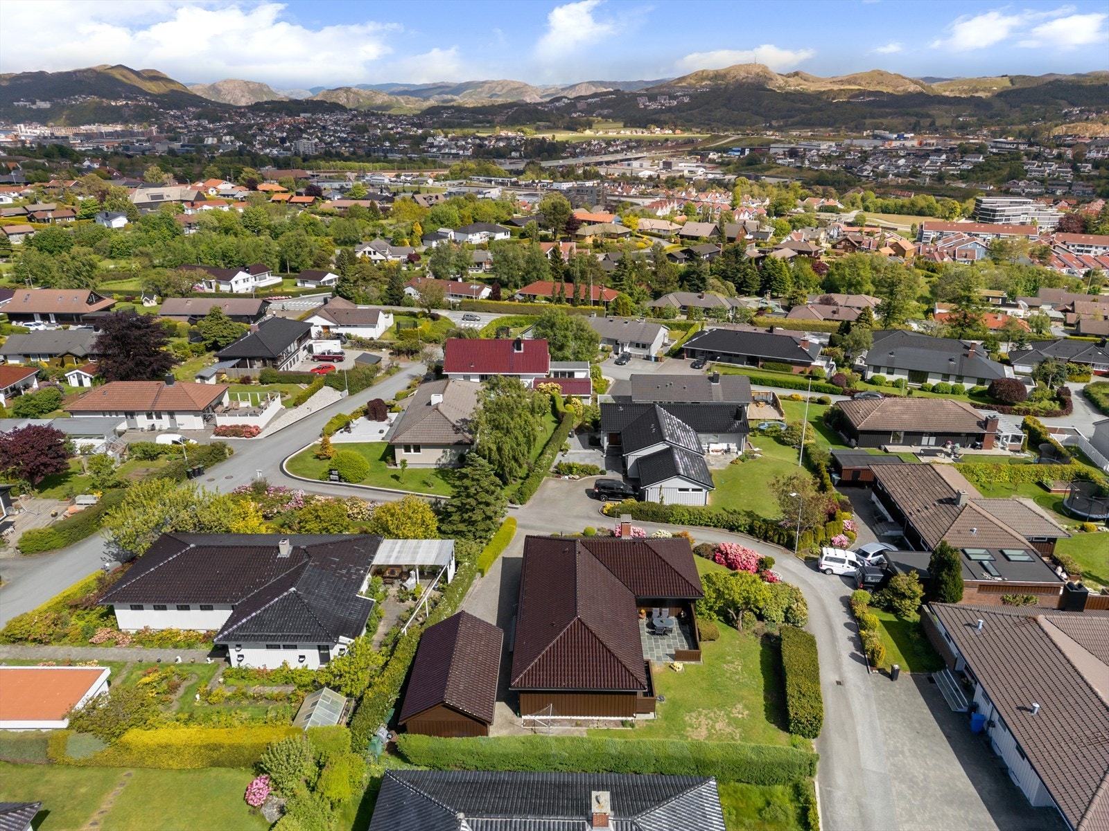 Nærområde Galleribilde