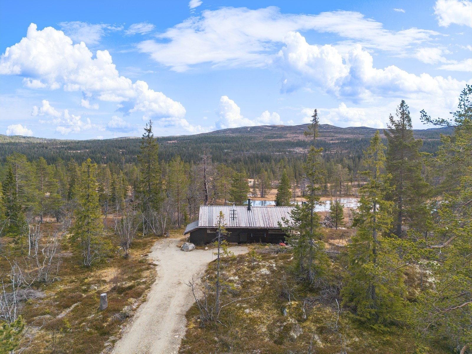 Det er mulighet for helårsvei inn til hytta med parkering på egen tomt. Galleribilde