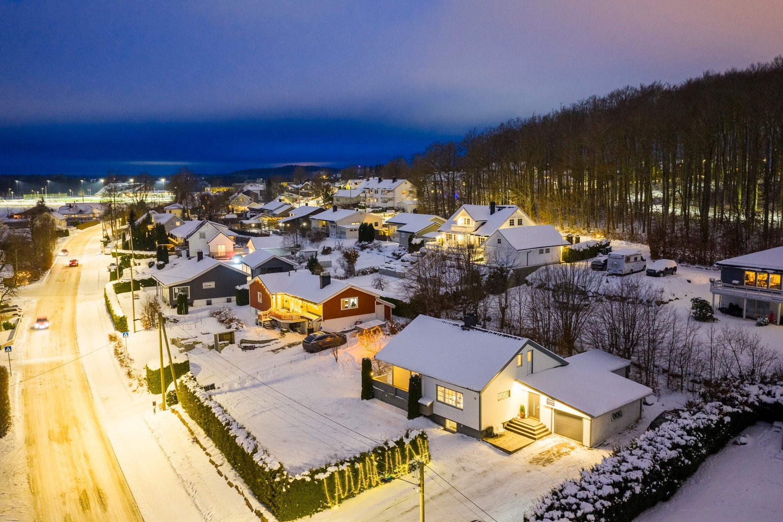 Bøkeskogen med flotte turområder ligger rett bak eiendommen Galleribilde