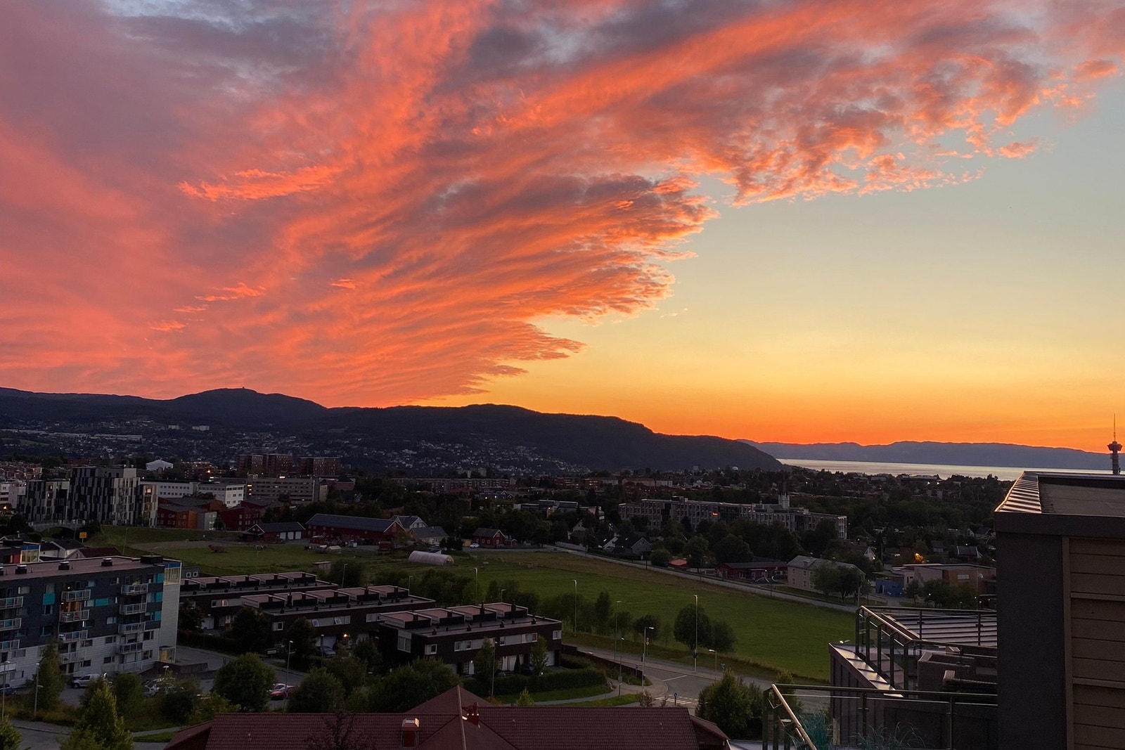 Selgers eget bilde. Galleribilde