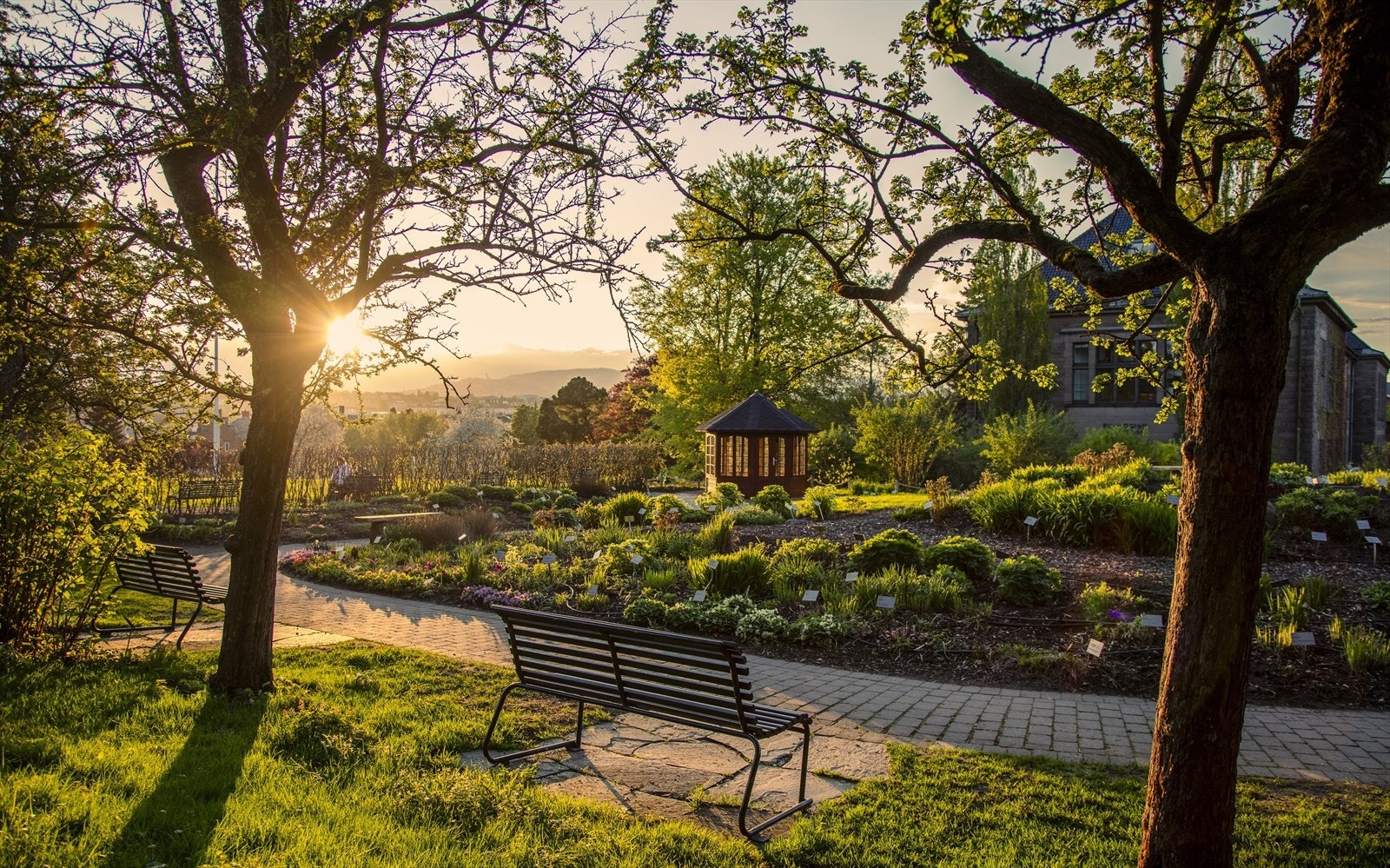 Områdebilde. Galleribilde