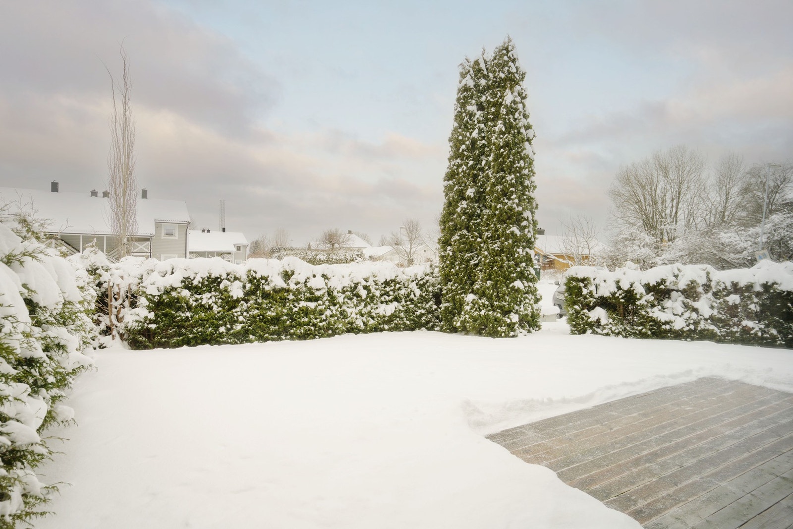 Det er et romslig plenareal like utenfor terrassen. Galleribilde