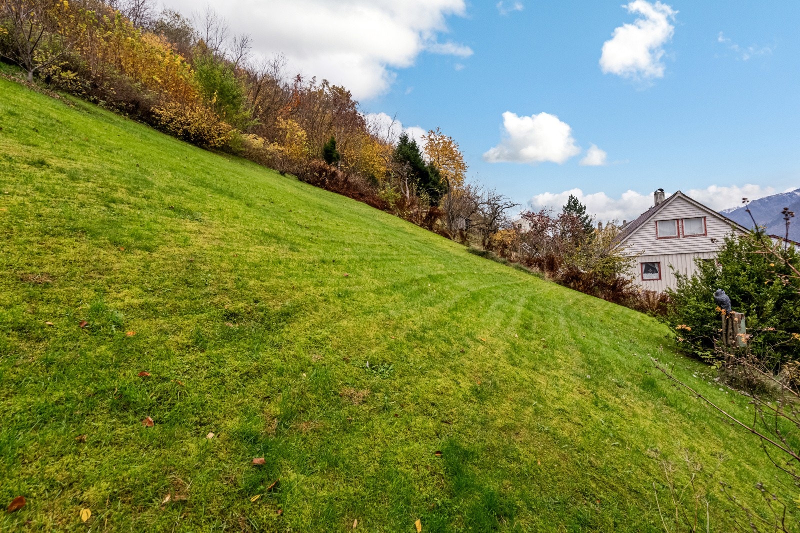 Flisabakken 12 Galleribilde