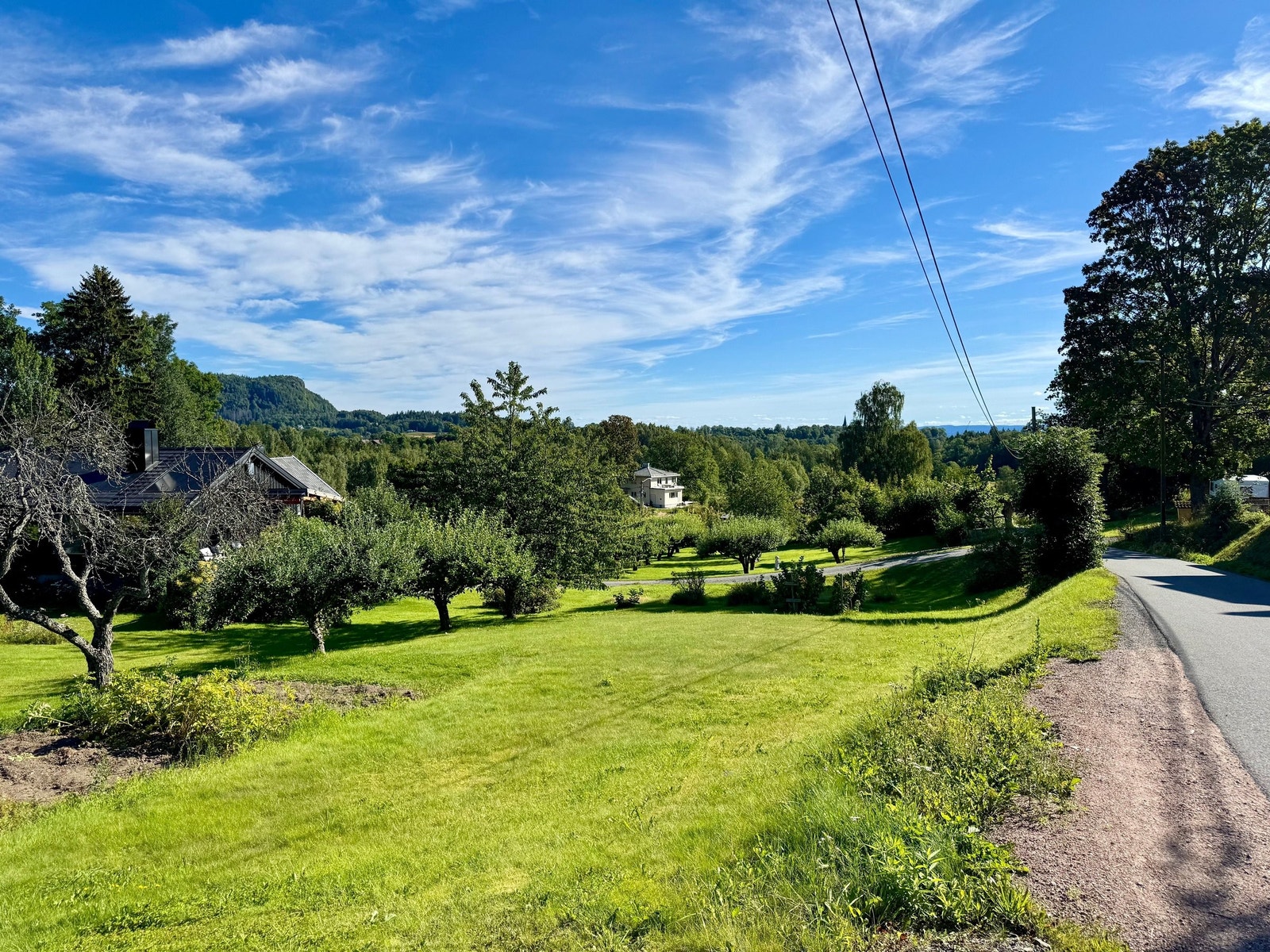 Hogstadveien Galleribilde