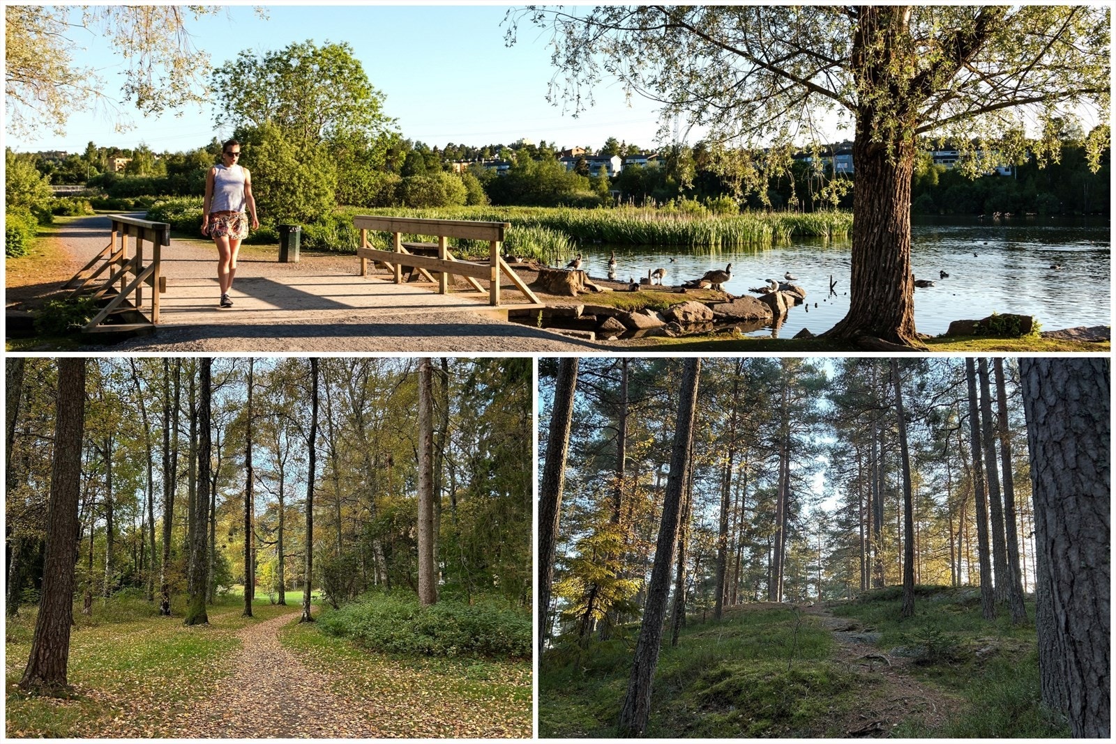 Både Østensjøvannet og Østmarka med flotte rekreasjonsmuligheter i gangavstand Galleribilde